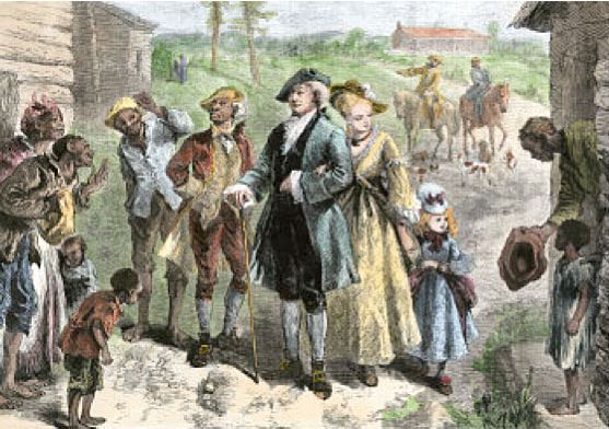what was the environment like in the southern colonies