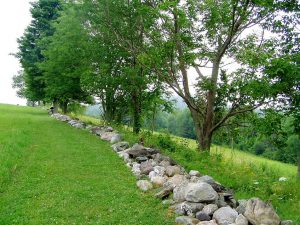 Looking south along the west side of the hill up which Fraser’s light infantry advanced. The military road ran parallel to and 200 yards below the tree line on the right. Photo by Jim Millard.