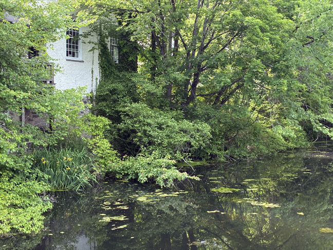 Dumpling Pond: Legend, Folklore, and Local Memory in Greenwich, Connecticut